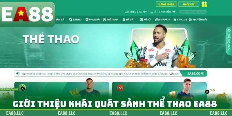 Giới thiệu khái quát sảnh thể thao EA88